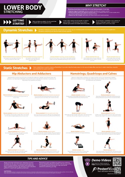 Lower Body Stretching Poster - £19.95 - Gymwarehouse